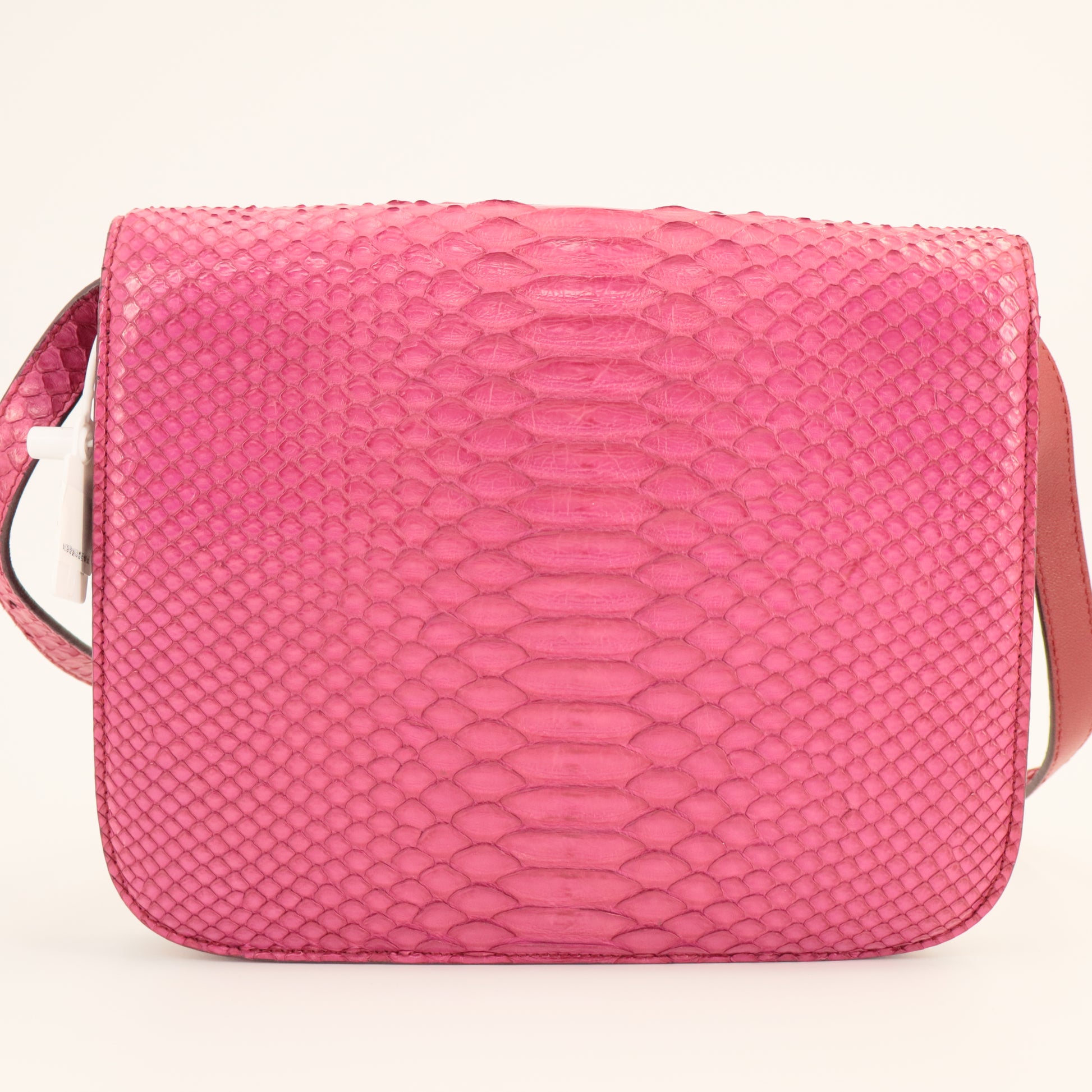 Celine Medium Python Classic Bag twins