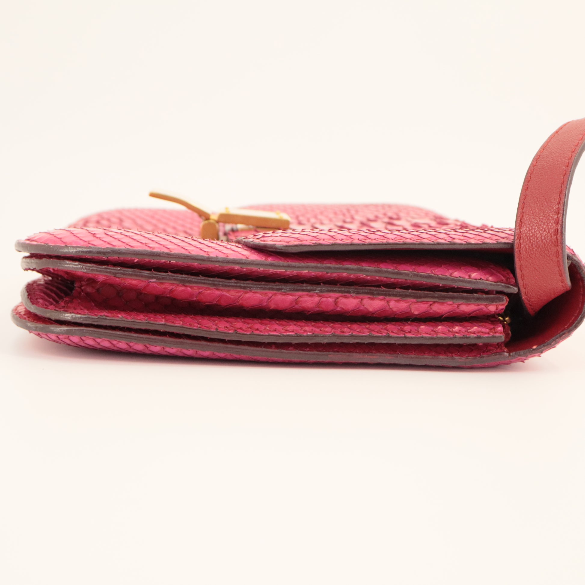Celine Medium Python Classic Bag twins