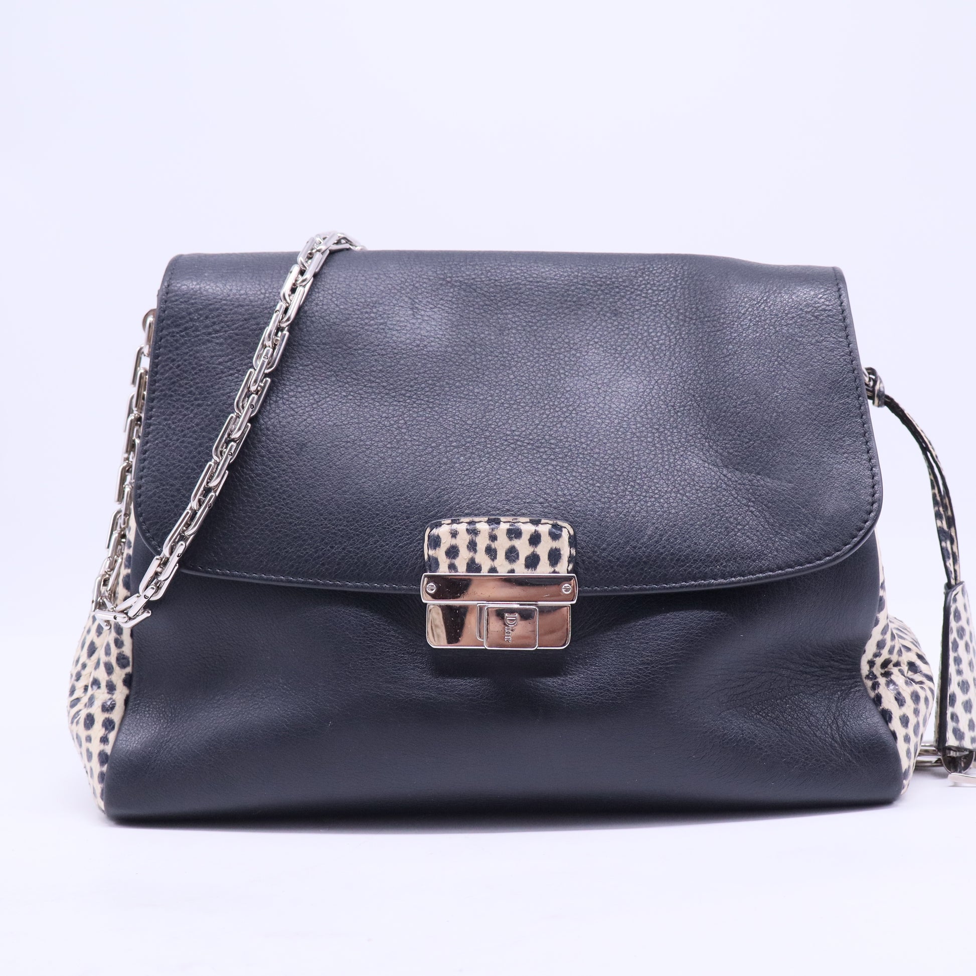 Diorling Shoulder Bag Leather with Python Large Twins B20257