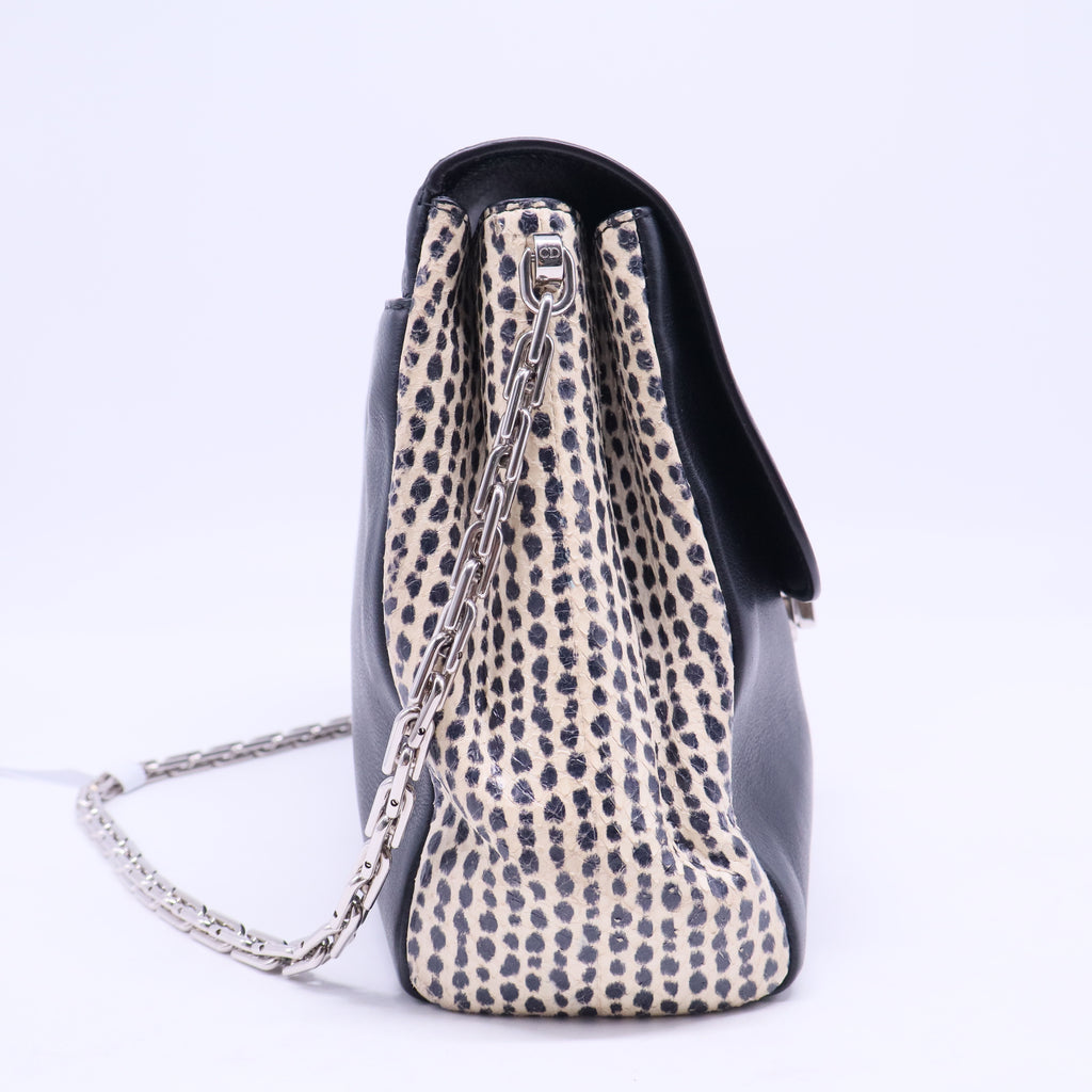 Diorling Shoulder Bag Leather with Python Large Twins B20257