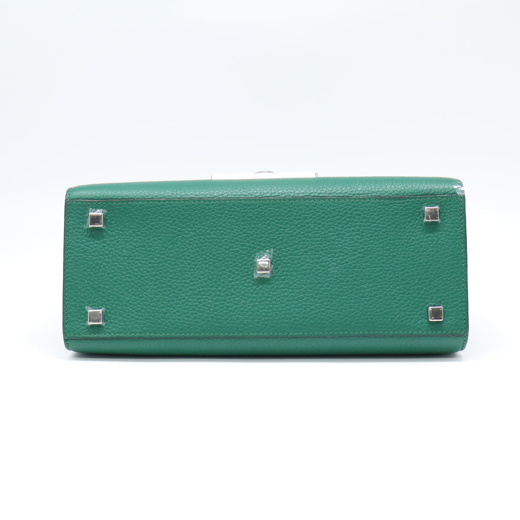 Moynat Réjane Leather Bag B22438