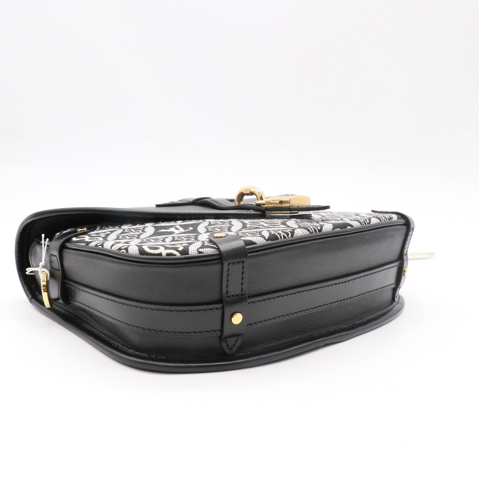 Louis Vuitton Since 1854 Neo Saumur MM Bag twins LDZ478
