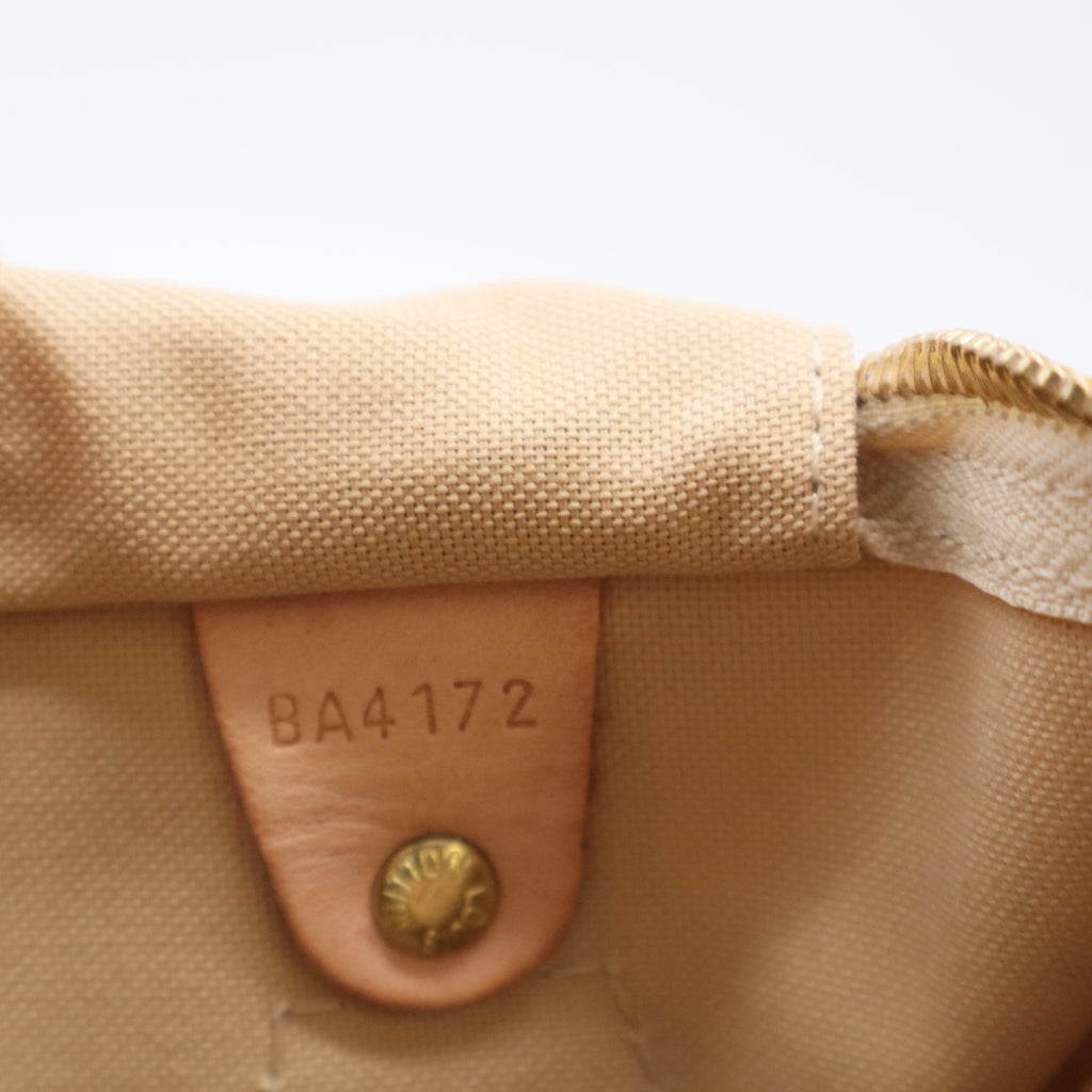 Speedy Handbag Damier 30