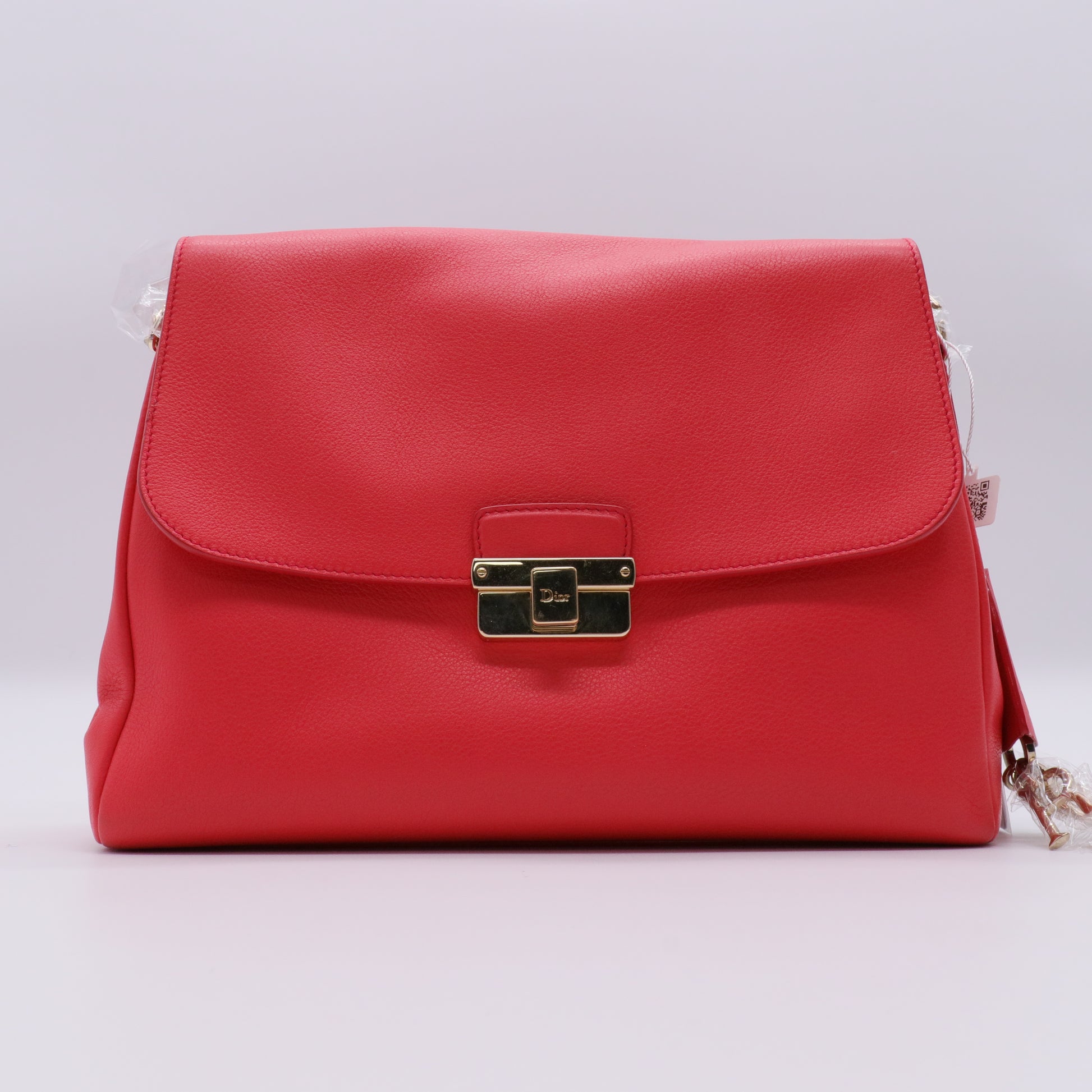 Calfskin Small Diorling Red twins