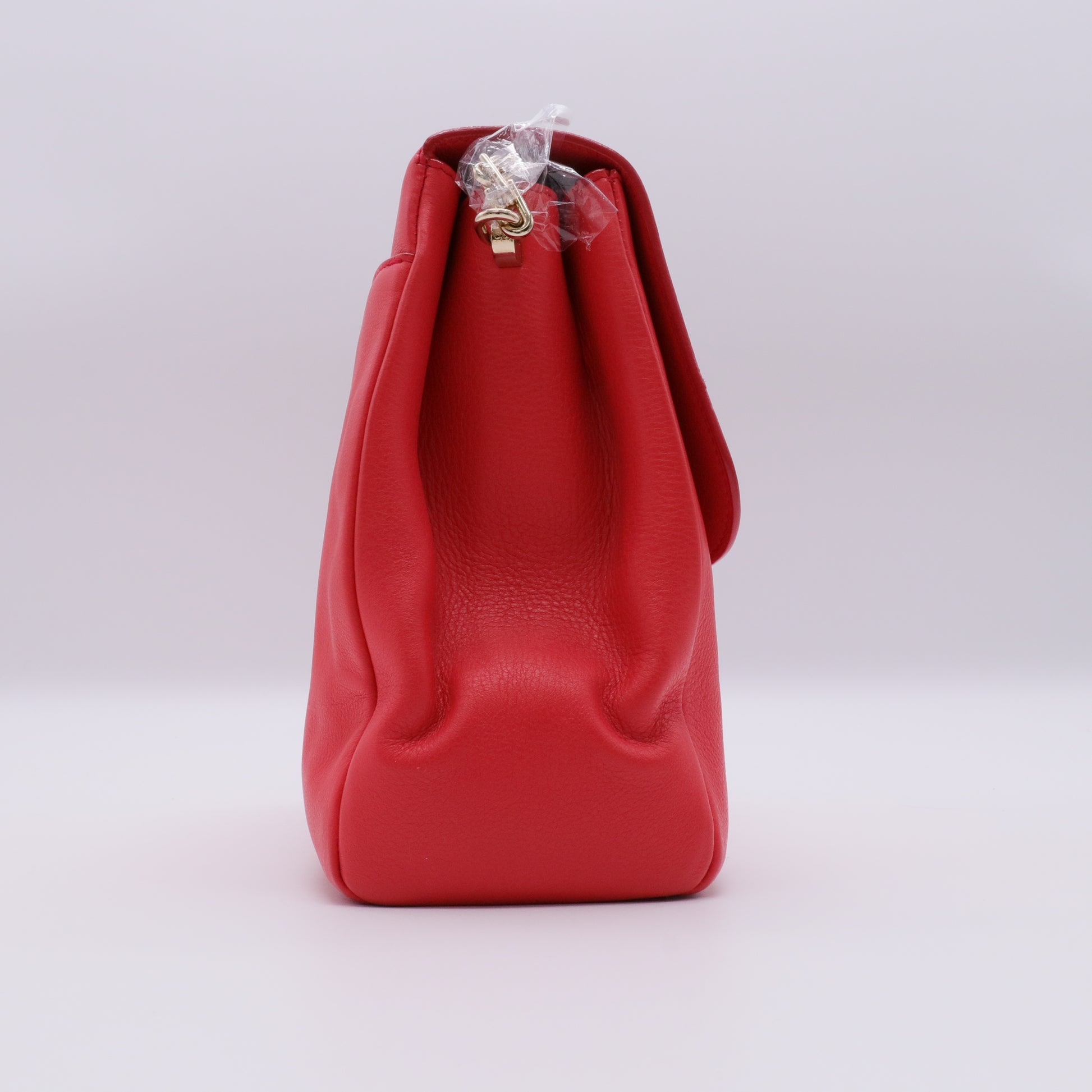 Calfskin Small Diorling Red twins