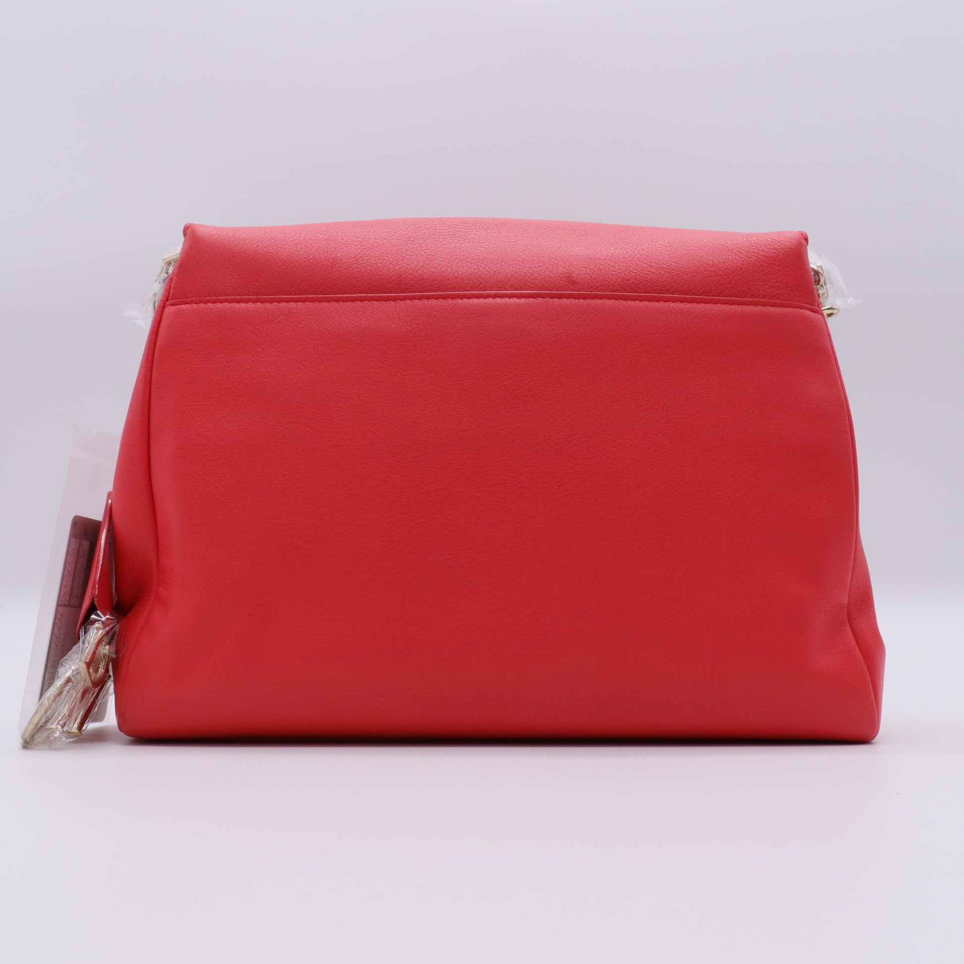 Calfskin Small Diorling Red twins