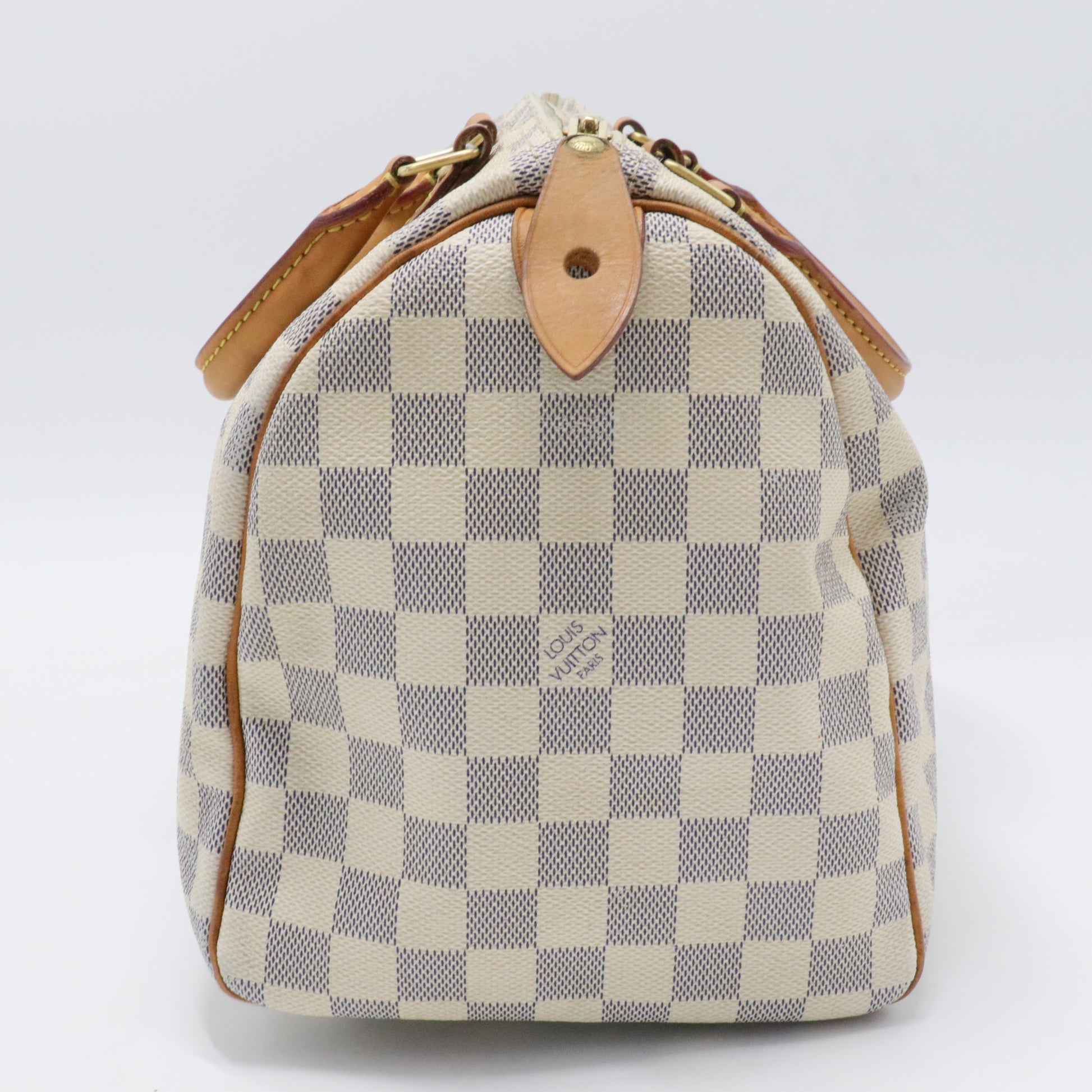 Speedy Handbag Damier 30