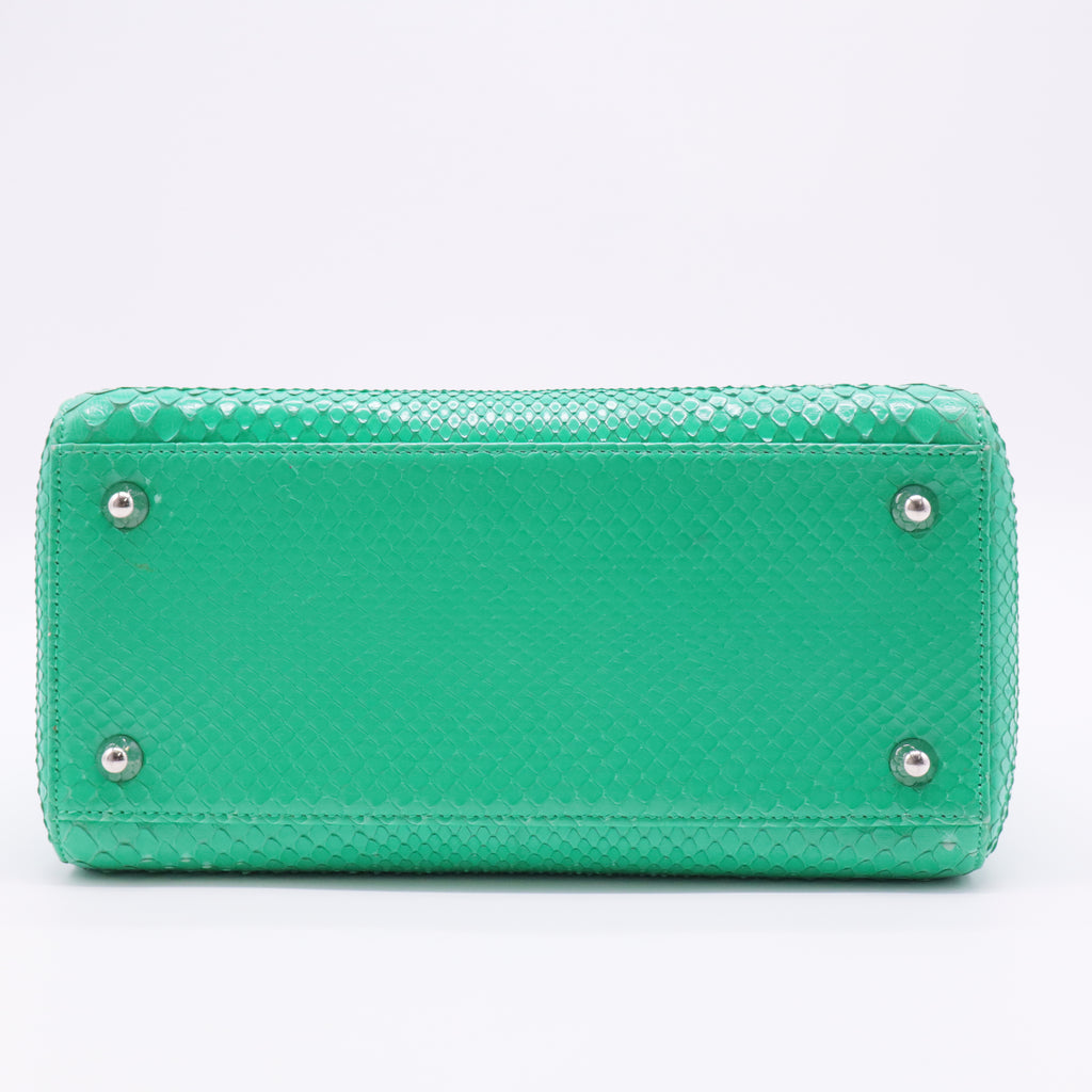 Snakeskin Medium Lady Dior Green twins
