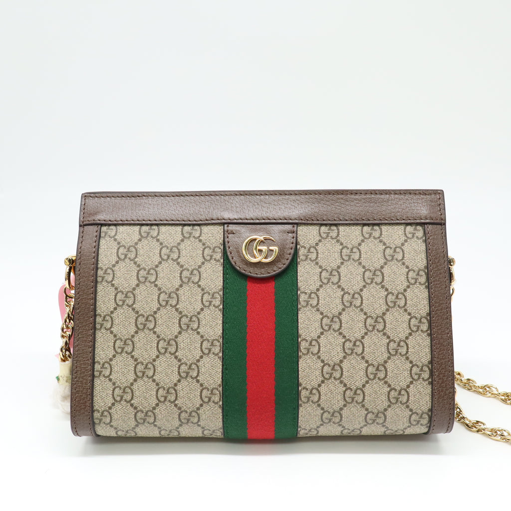 Ophidia Chain Shoulder Bag GG Coated Canvas Medium twins LDJ4414