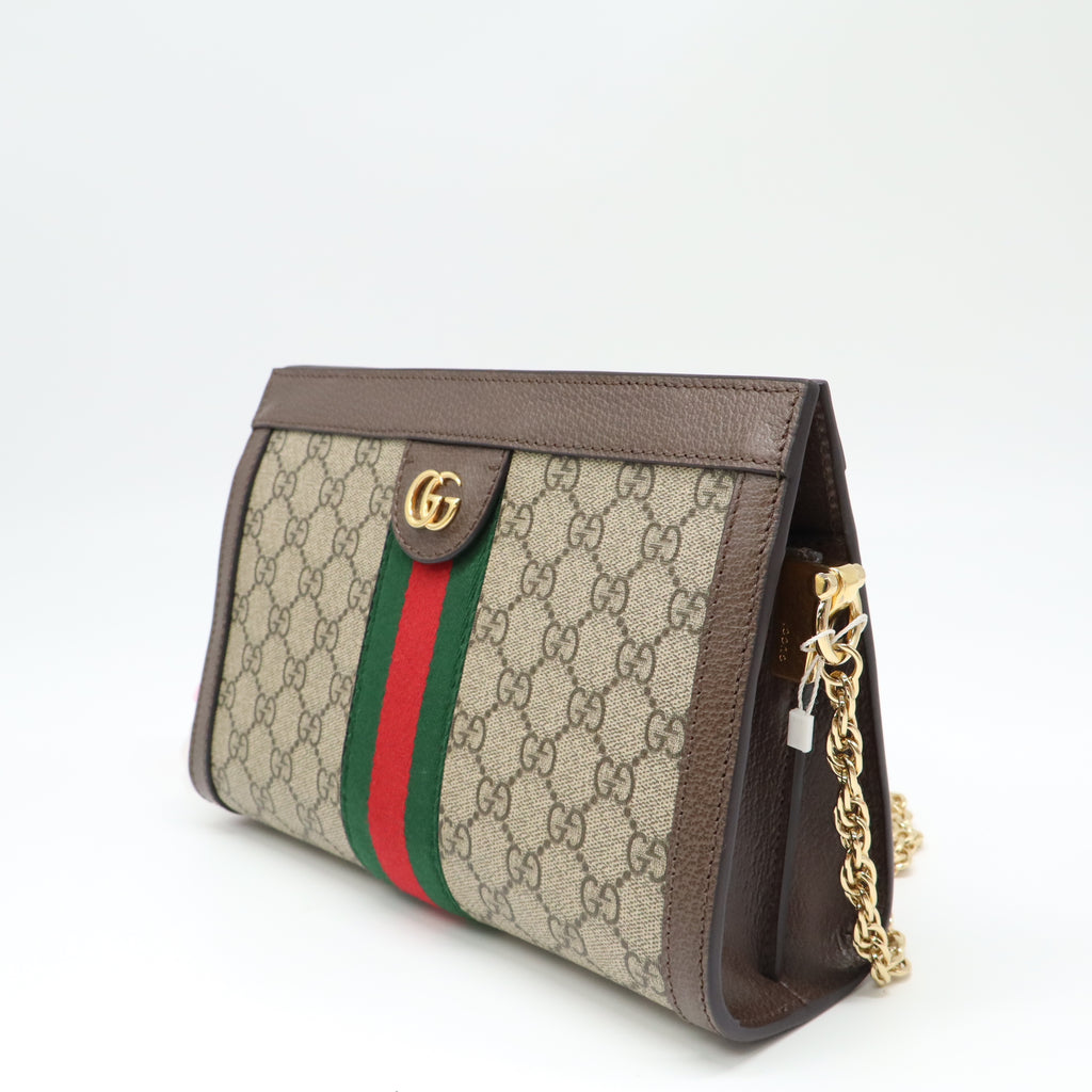 Ophidia Chain Shoulder Bag GG Coated Canvas Medium twins LDJ4414