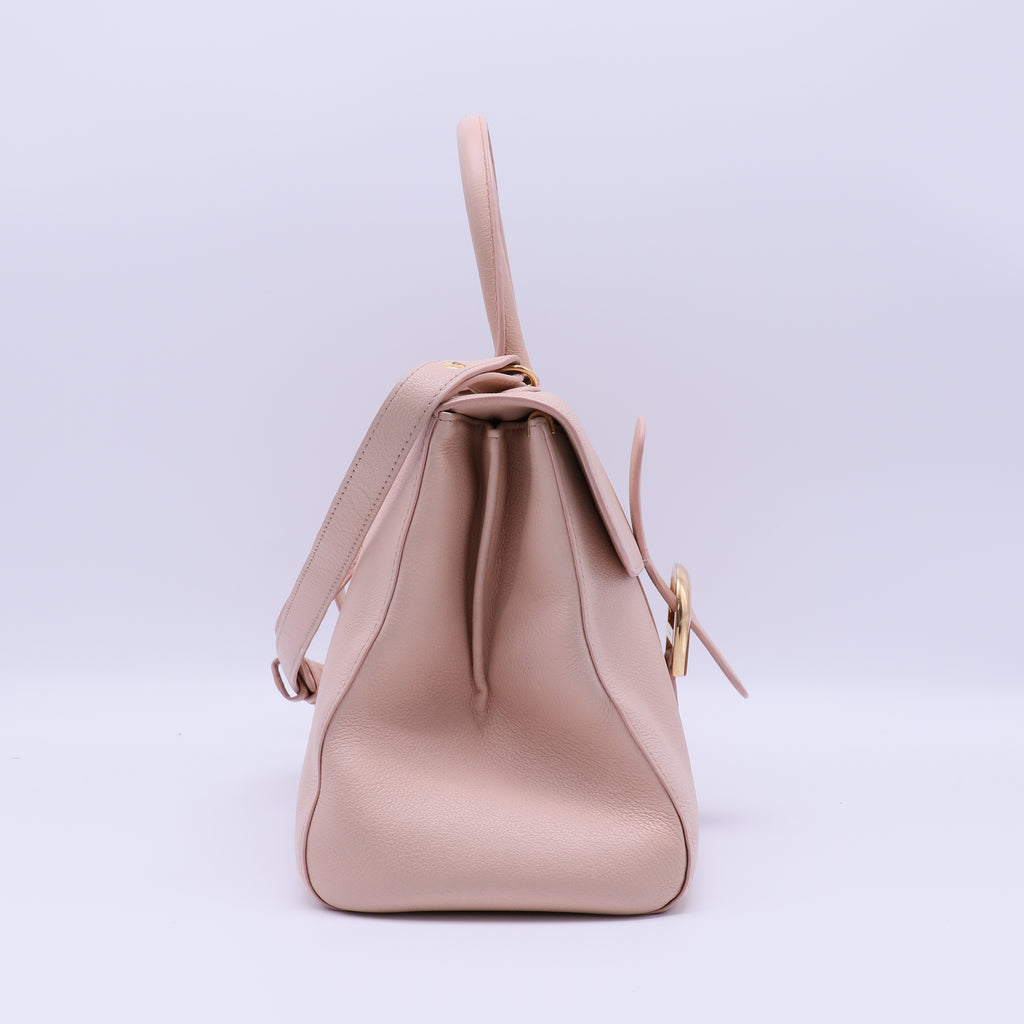 Delvaux Leather Brillant Mini B22094