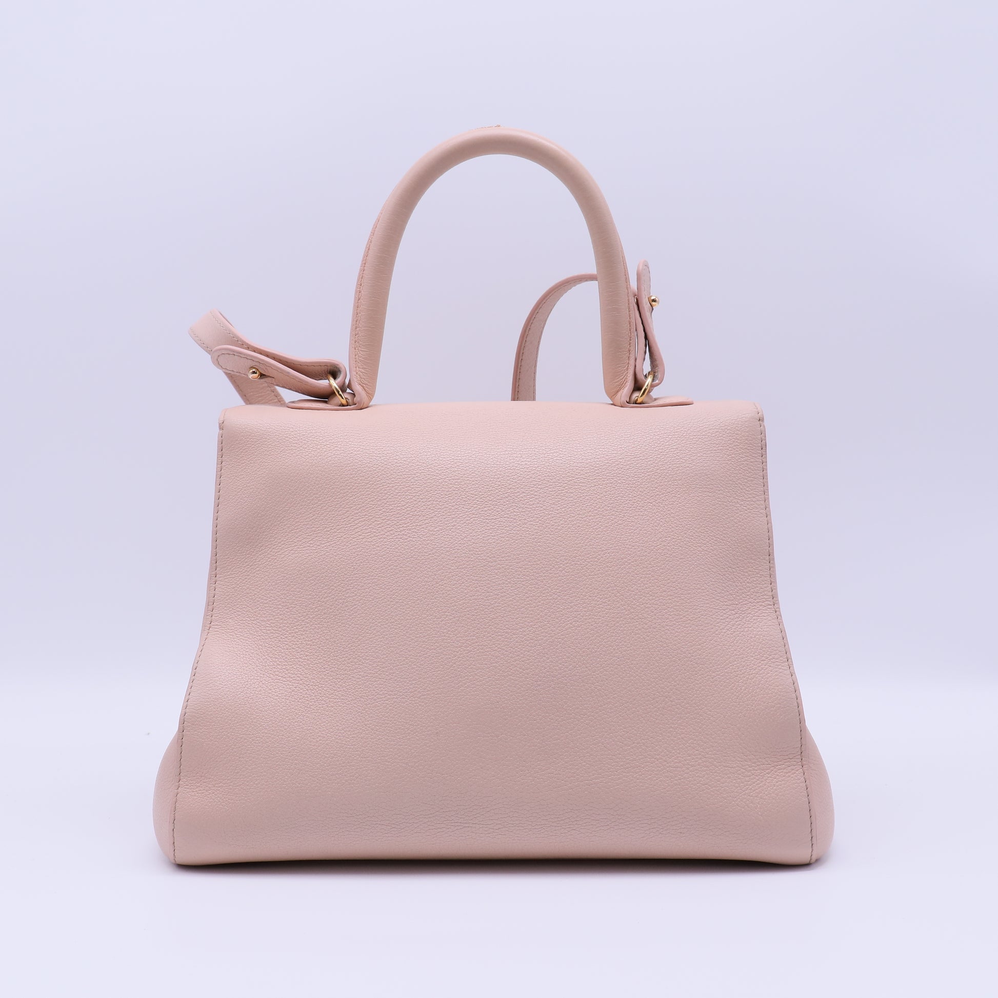 Delvaux Leather Brillant Mini B22094
