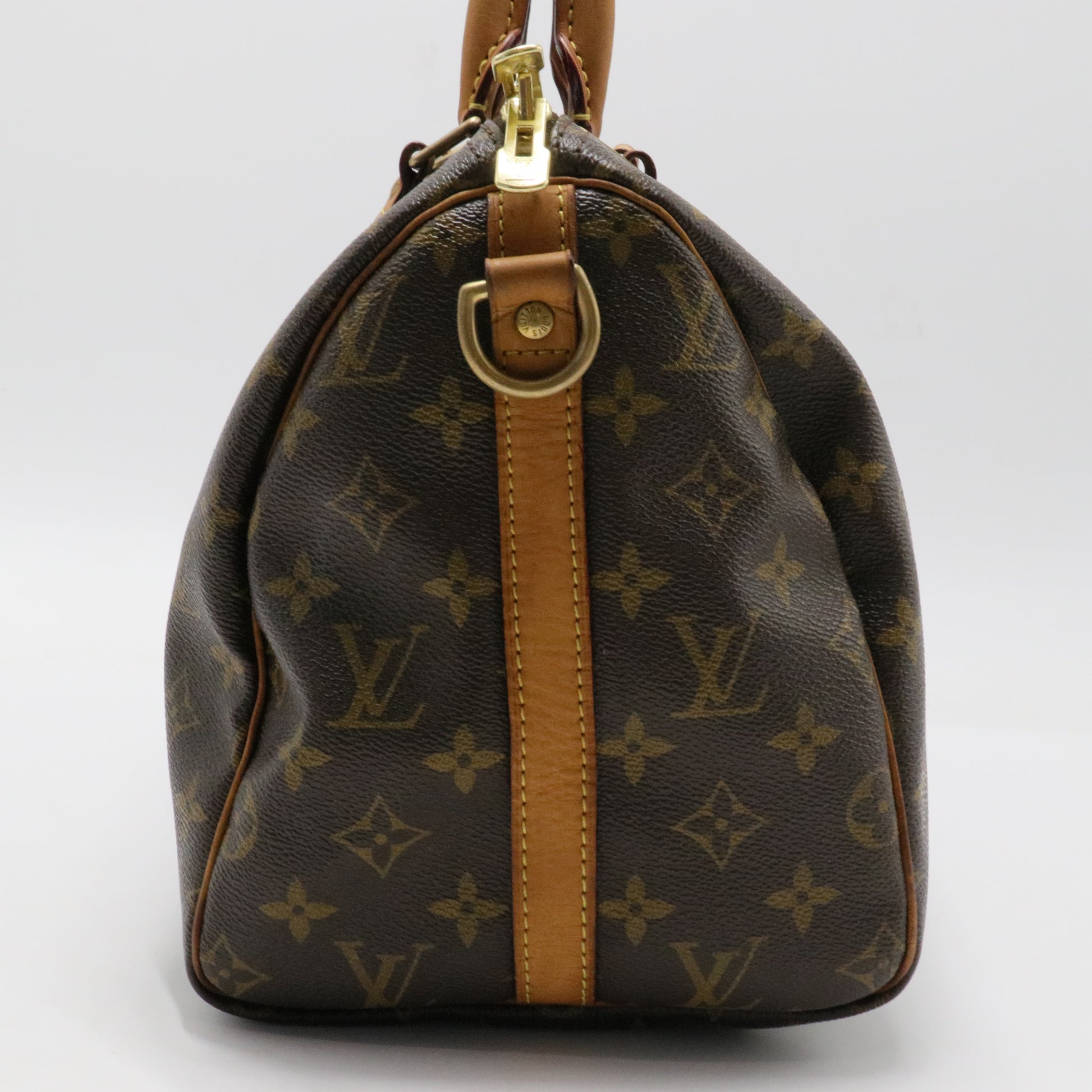 Speedy Handbag Monogram Canvas 30