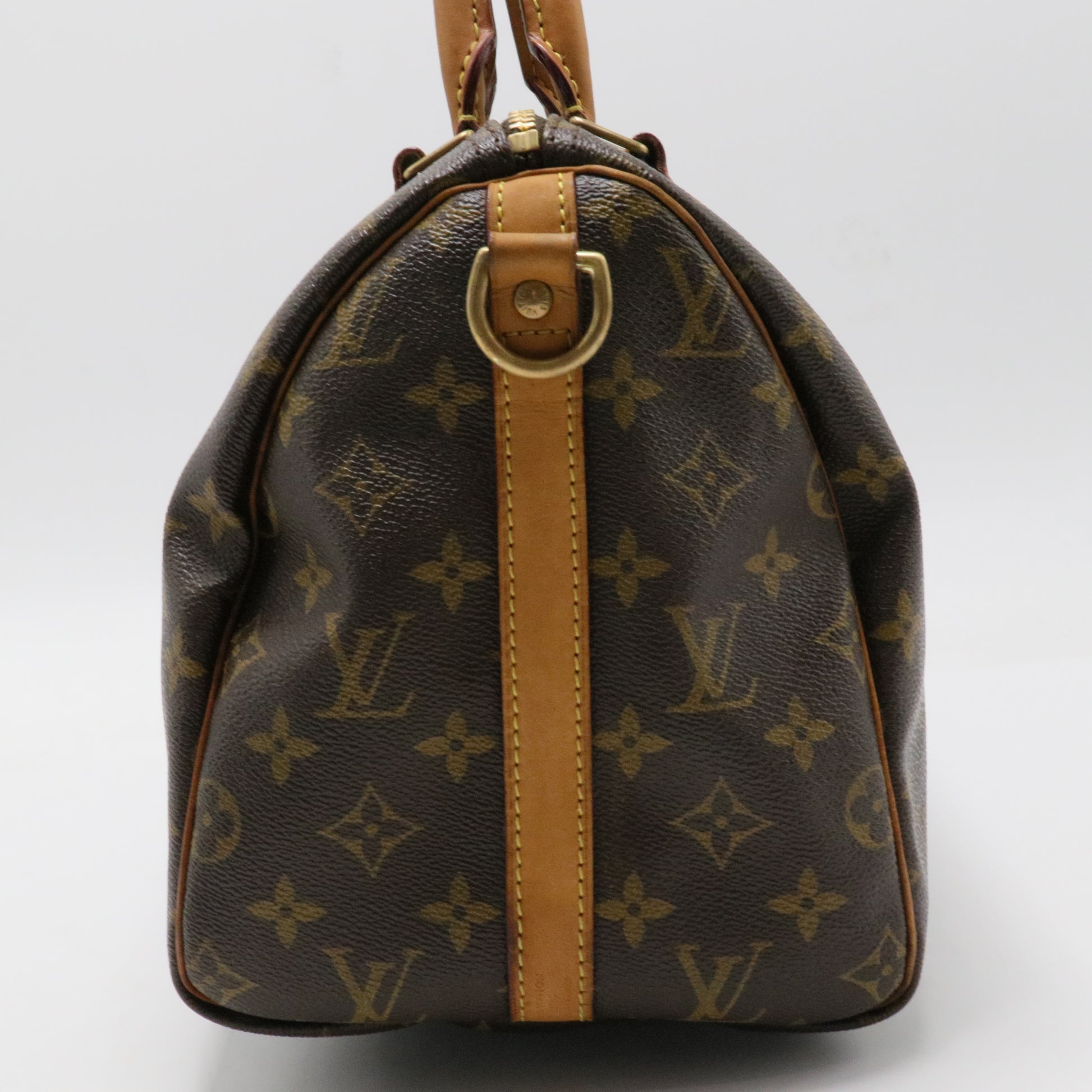Speedy Handbag Monogram Canvas 30