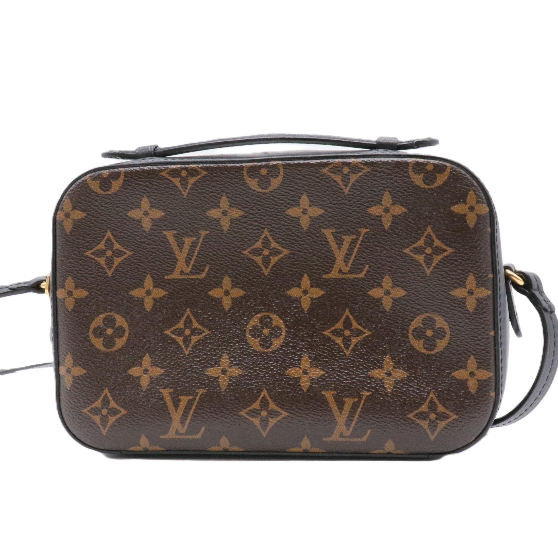Saintonge Handbag Monogram Canvas with Leather