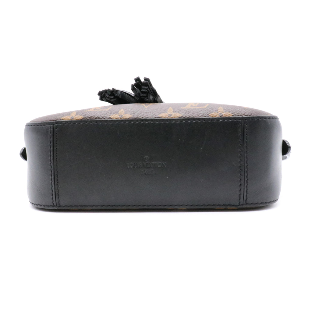 Saintonge Handbag Monogram Canvas with Leather