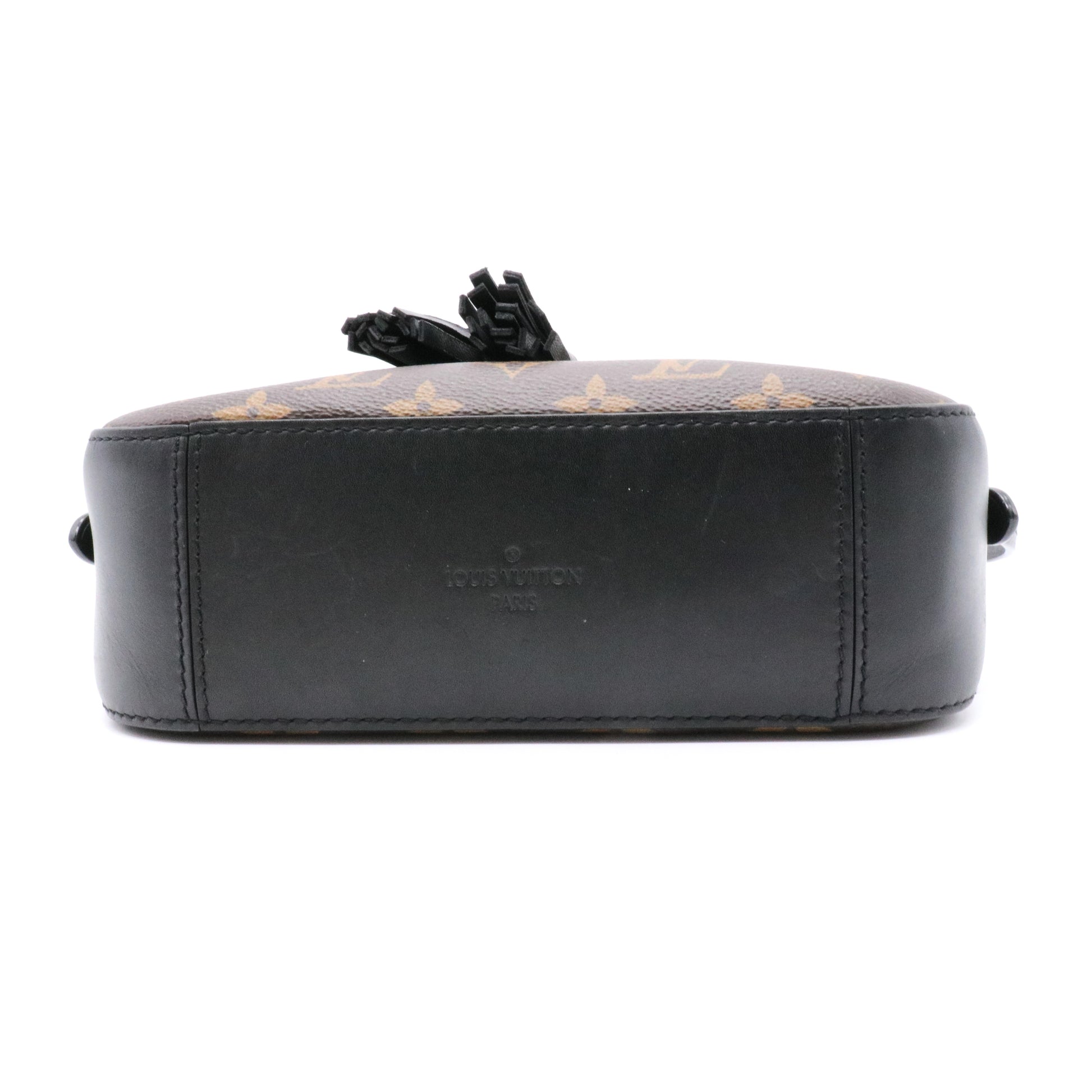 Saintonge Handbag Monogram Canvas with Leather