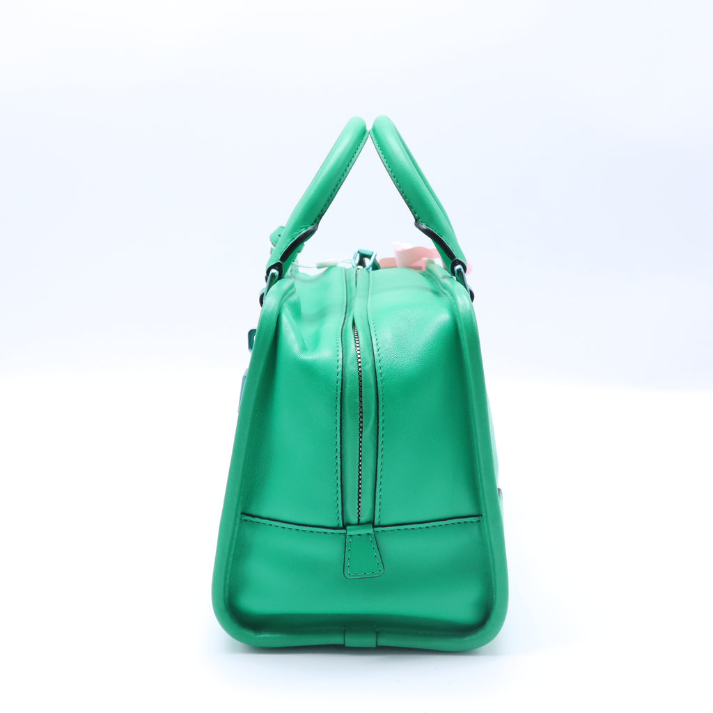 Loewe Amazona 28 Bag in Leather twins LDJ4195