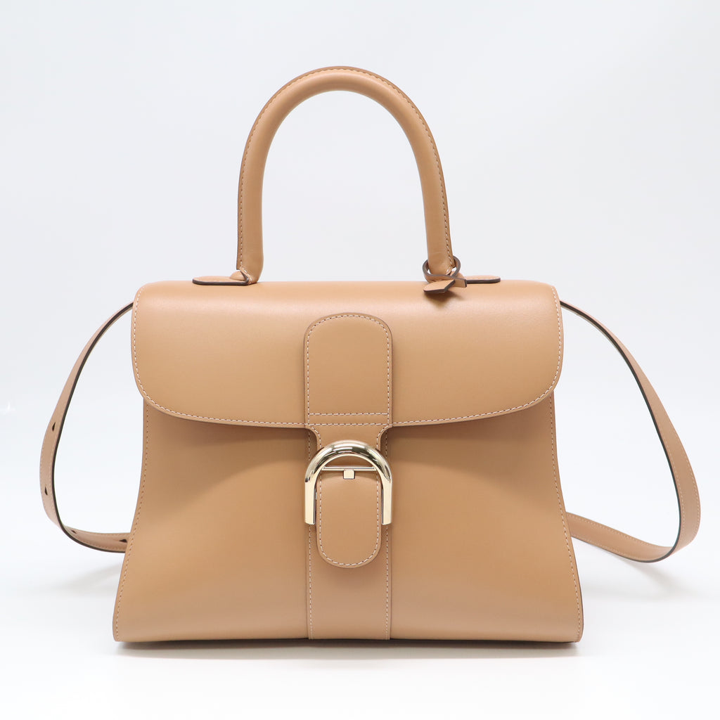 Delvaux Brillant MM bag B22595