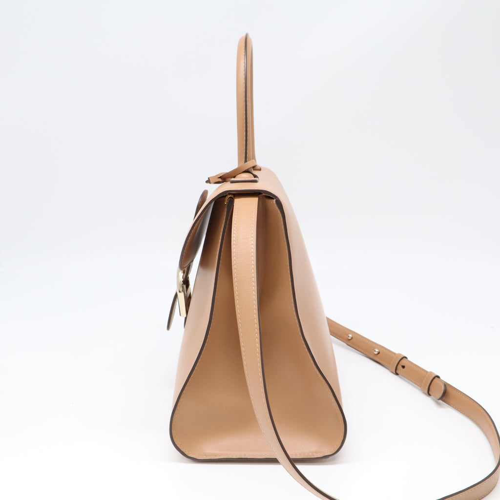 Delvaux Brillant MM bag B22595