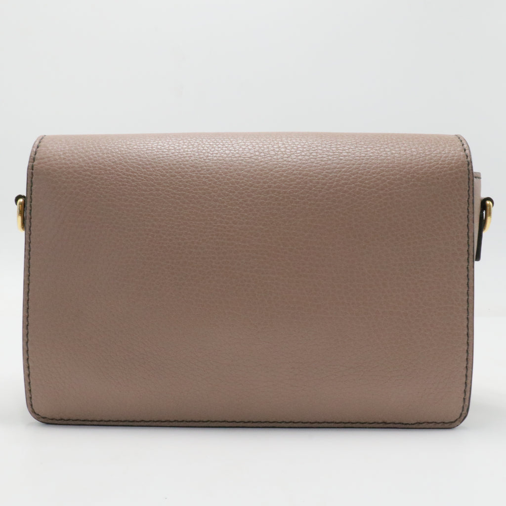 Dio(r)evolution Flap Bag Leather Medium