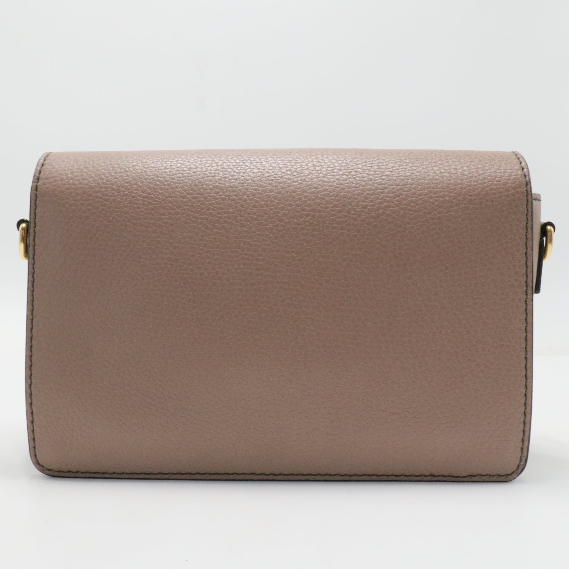Dio(r)evolution Flap Bag Leather Medium