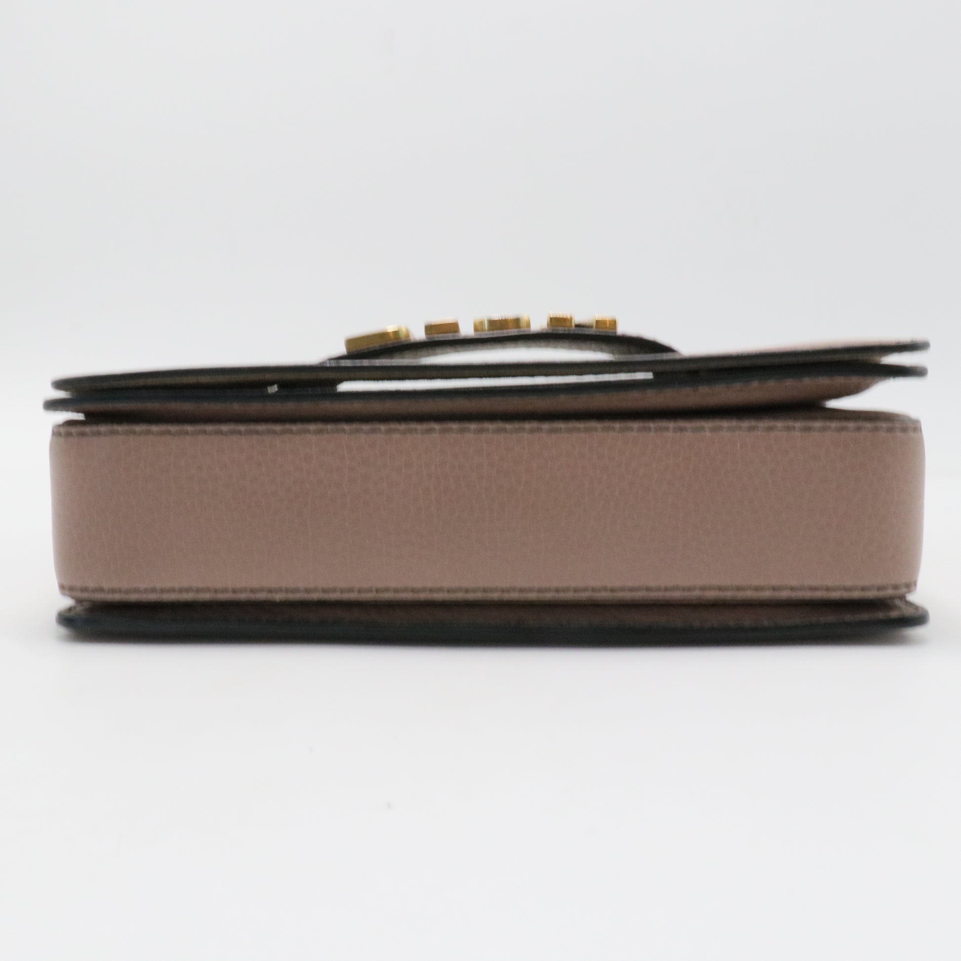 Dio(r)evolution Flap Bag Leather Medium