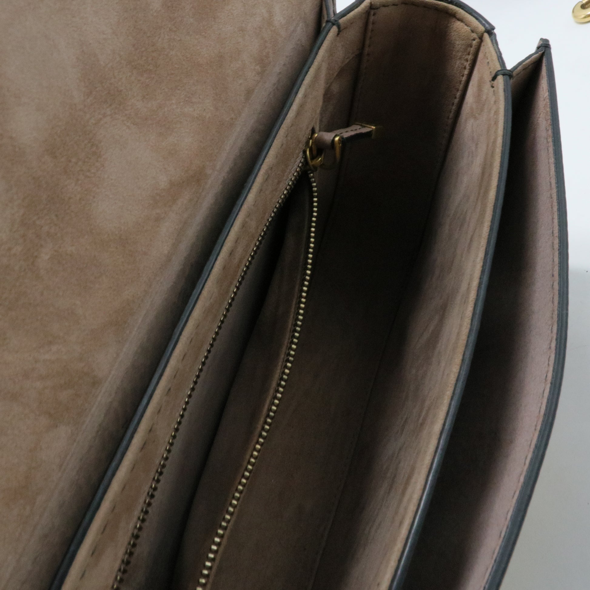 Dio(r)evolution Flap Bag Leather Medium