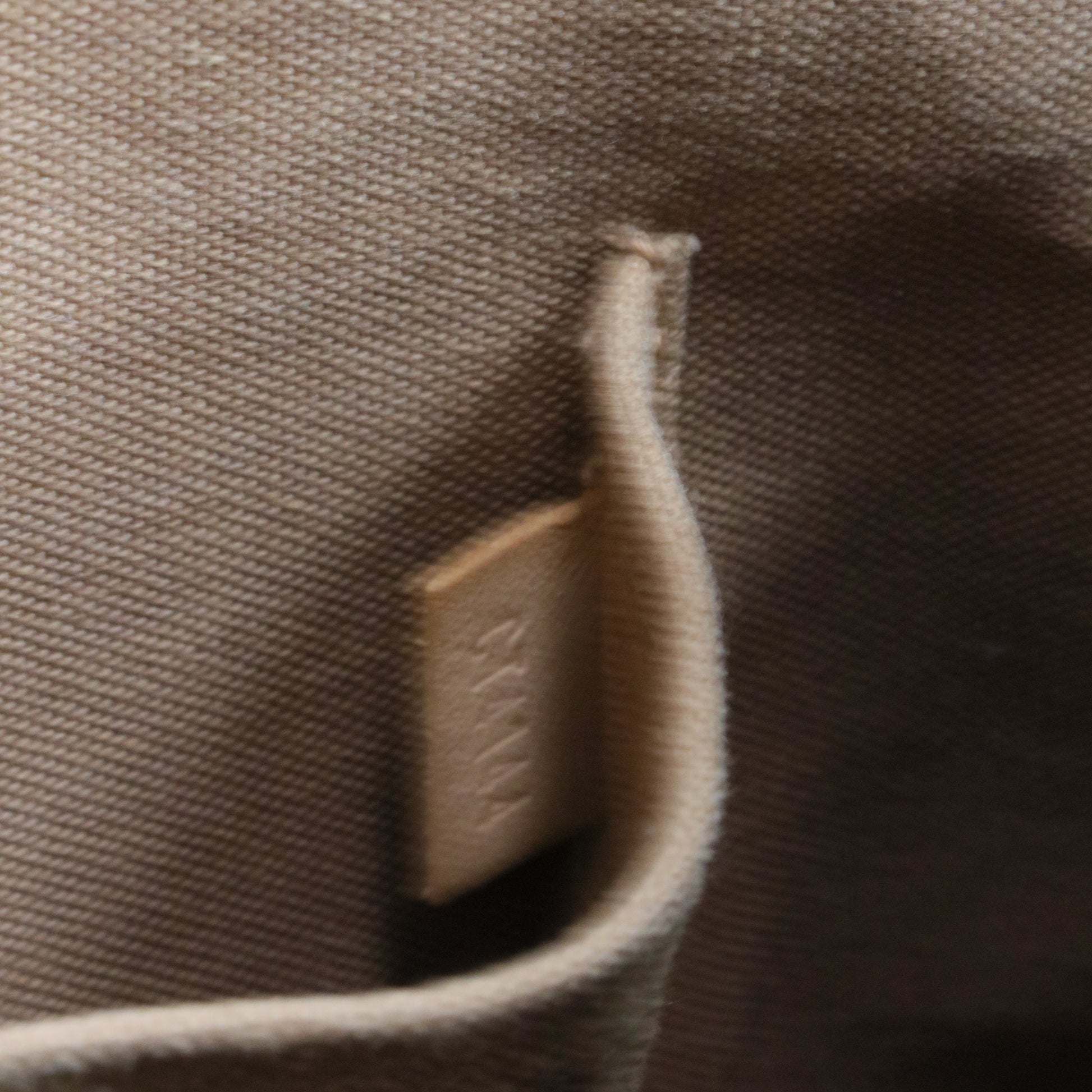 Alma Handbag Monogram Canvas PM