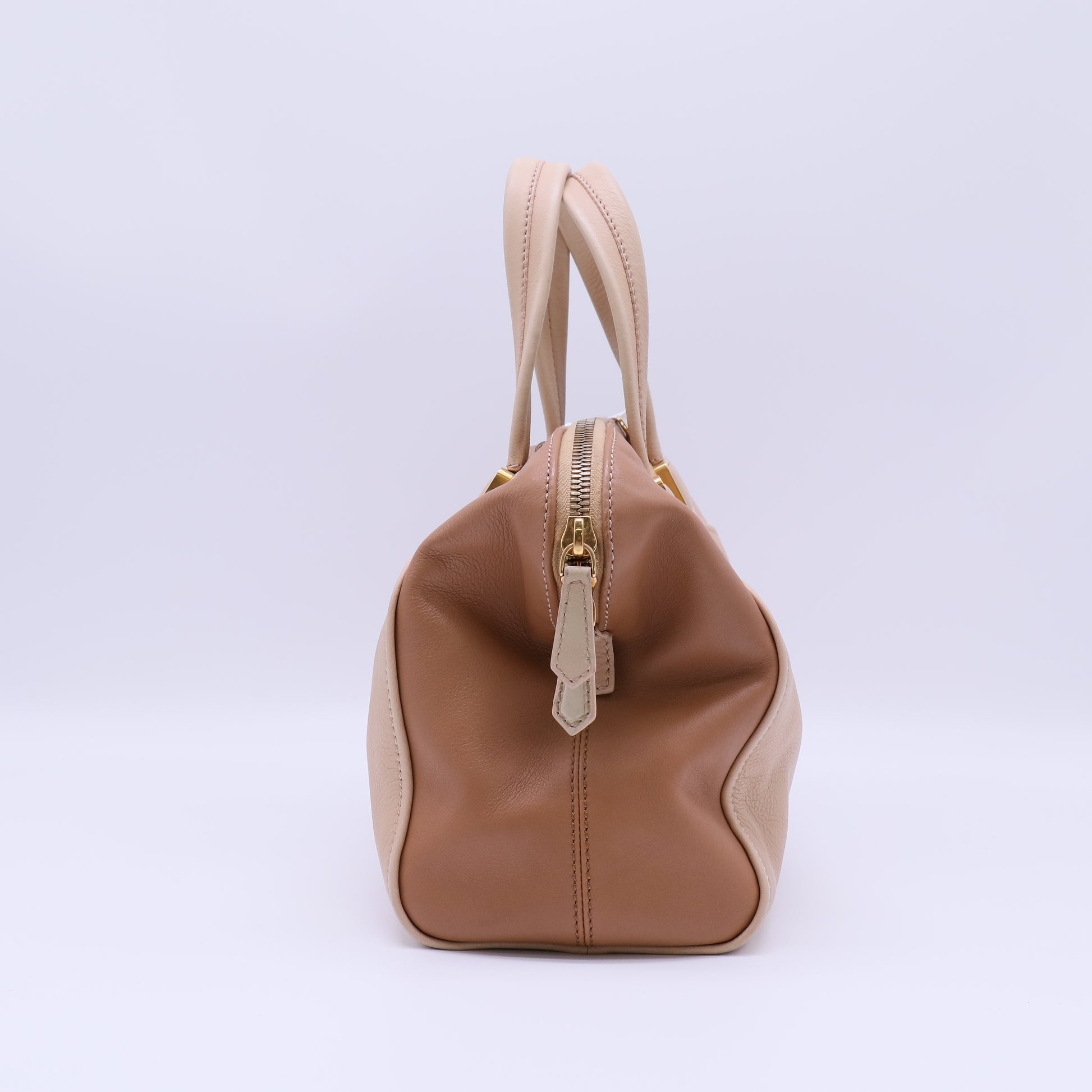 Medium Chameleon Handle Bag B21872