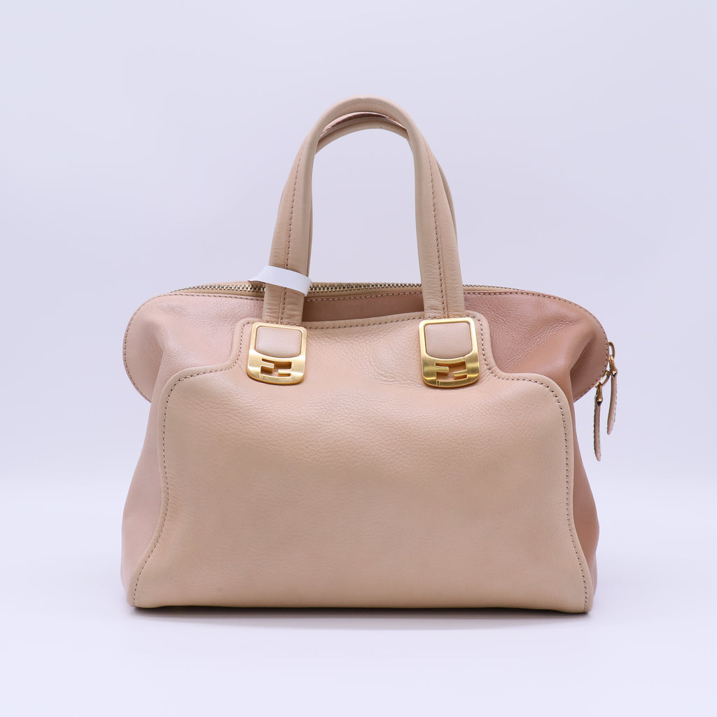 Medium Chameleon Handle Bag B21872