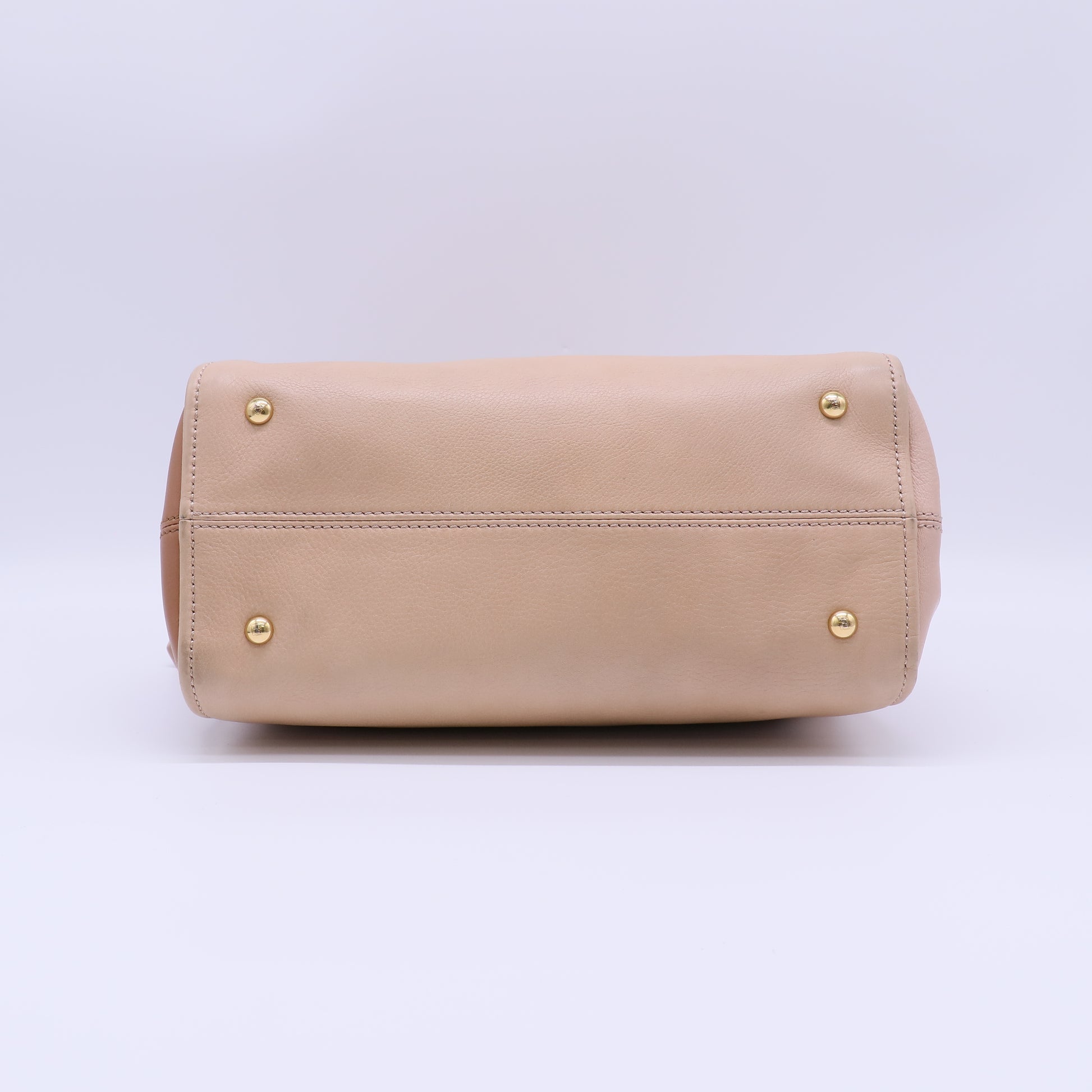 Medium Chameleon Handle Bag B21872