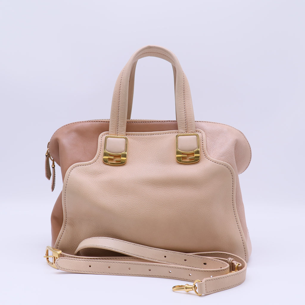 Medium Chameleon Handle Bag B21872