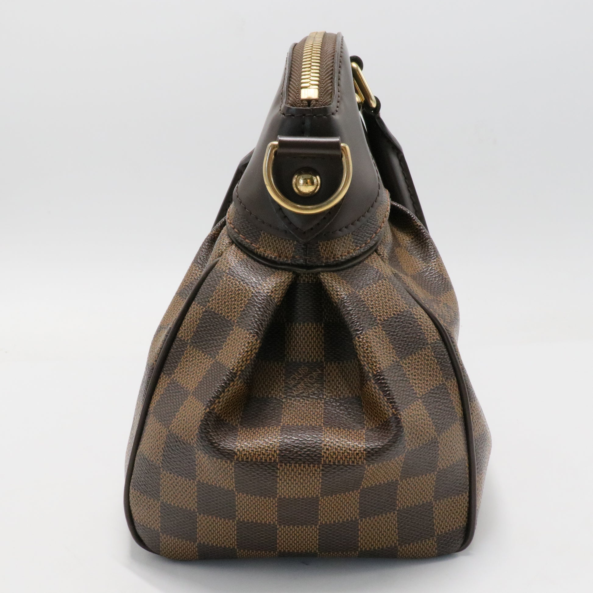 Trevi Handbag Damier PM