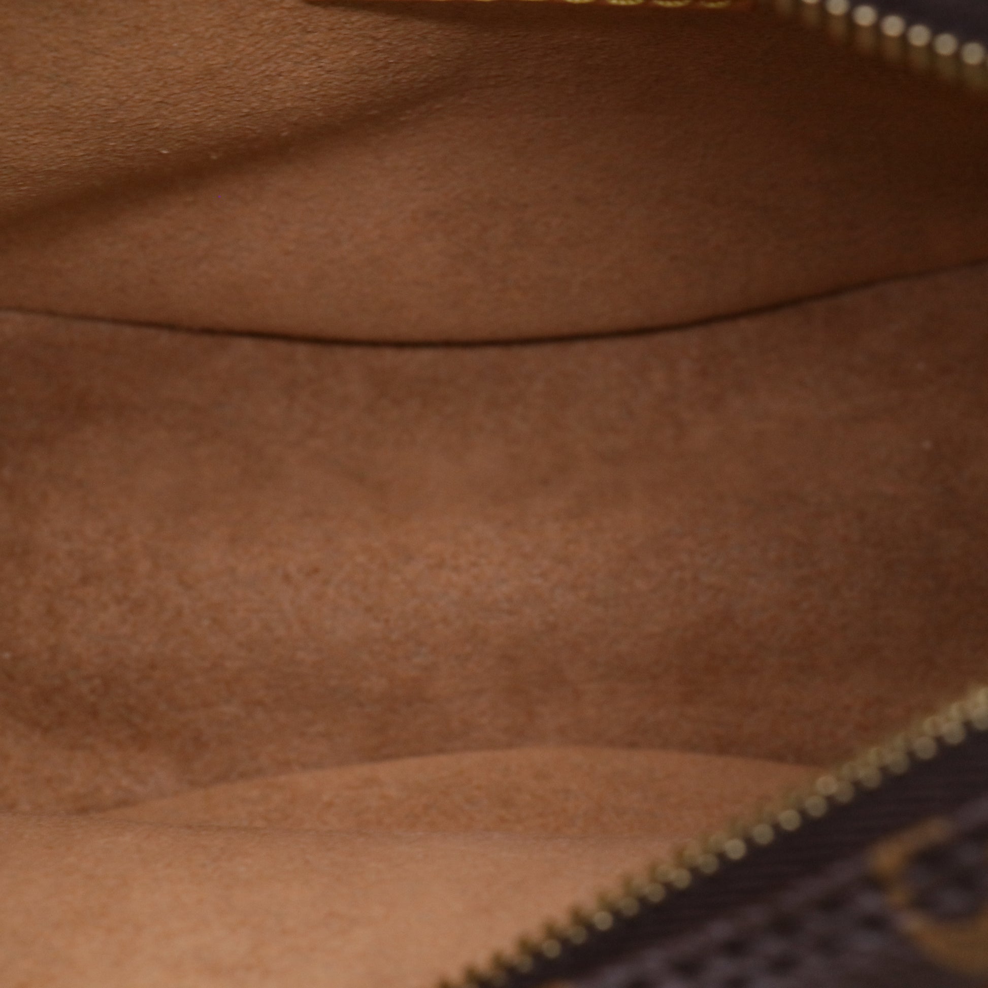 Louis Vuitton Loop Handbag Monogram Canvas twins LDJ5716