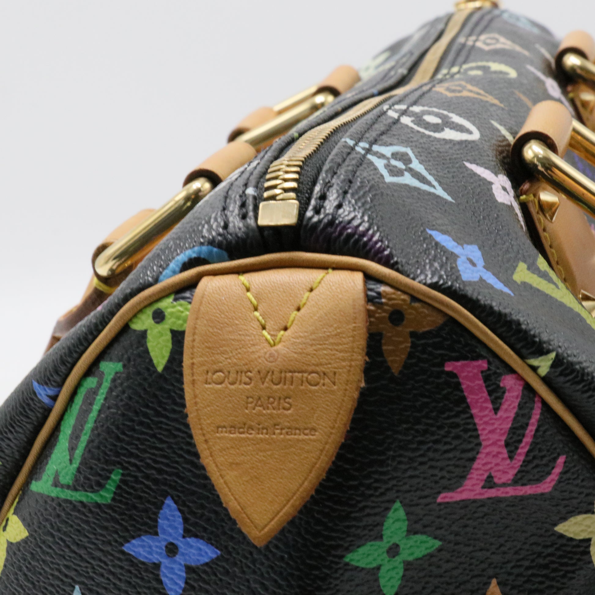 Speedy Handbag Monogram Multicolor 30