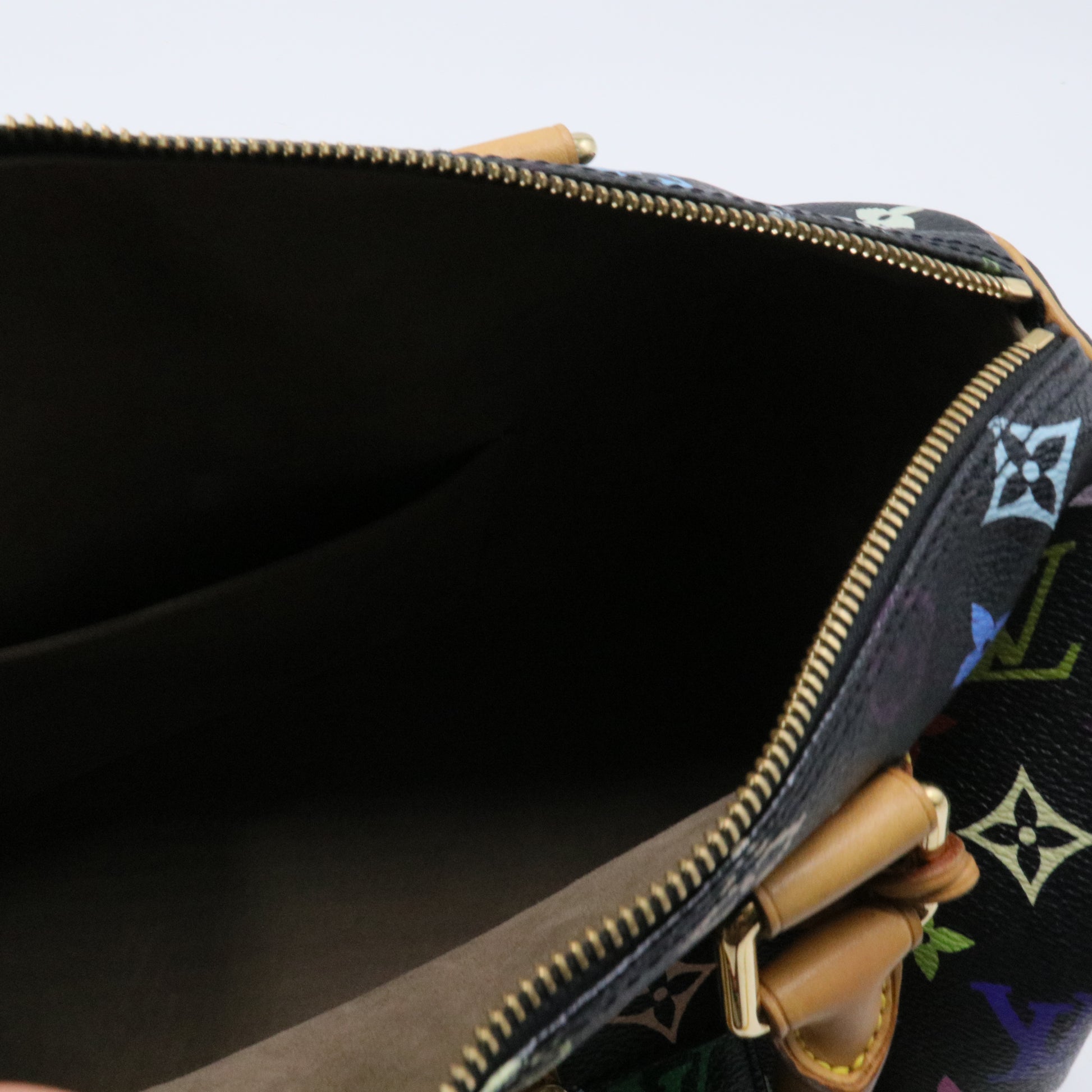 Speedy Handbag Monogram Multicolor 30
