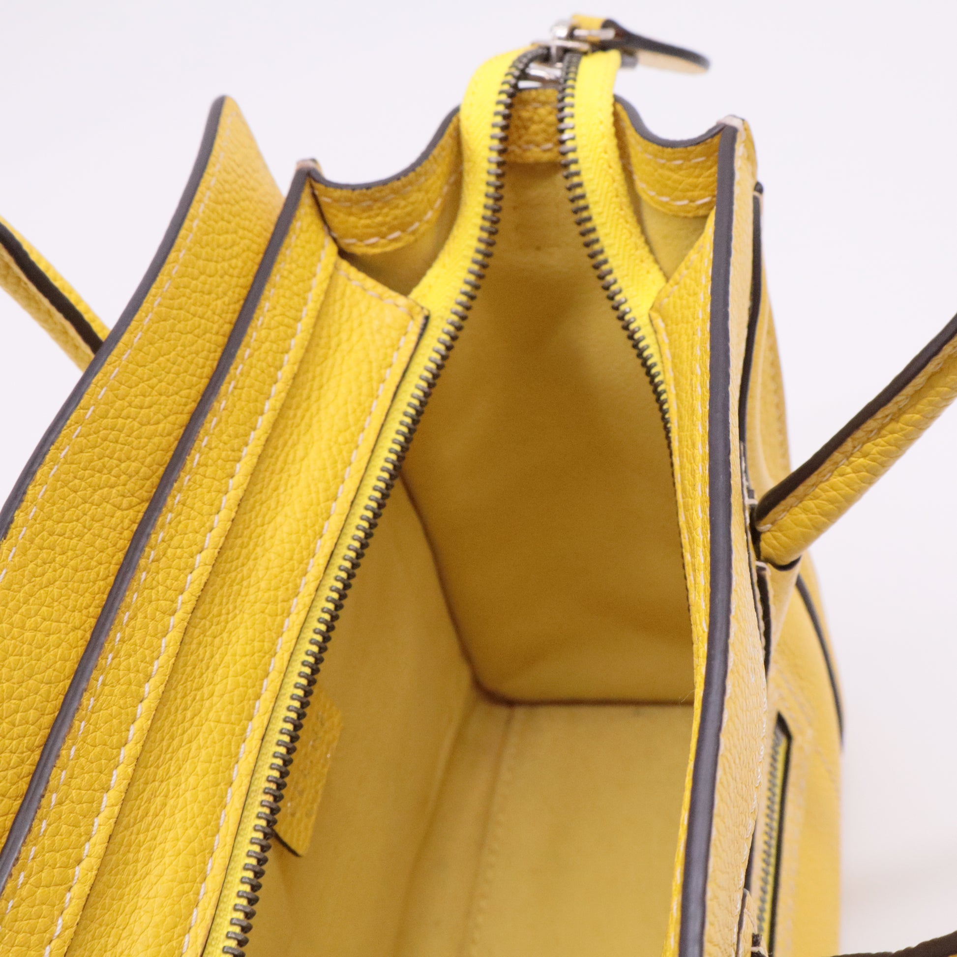 Palmelato Calfskin Nano Luggage