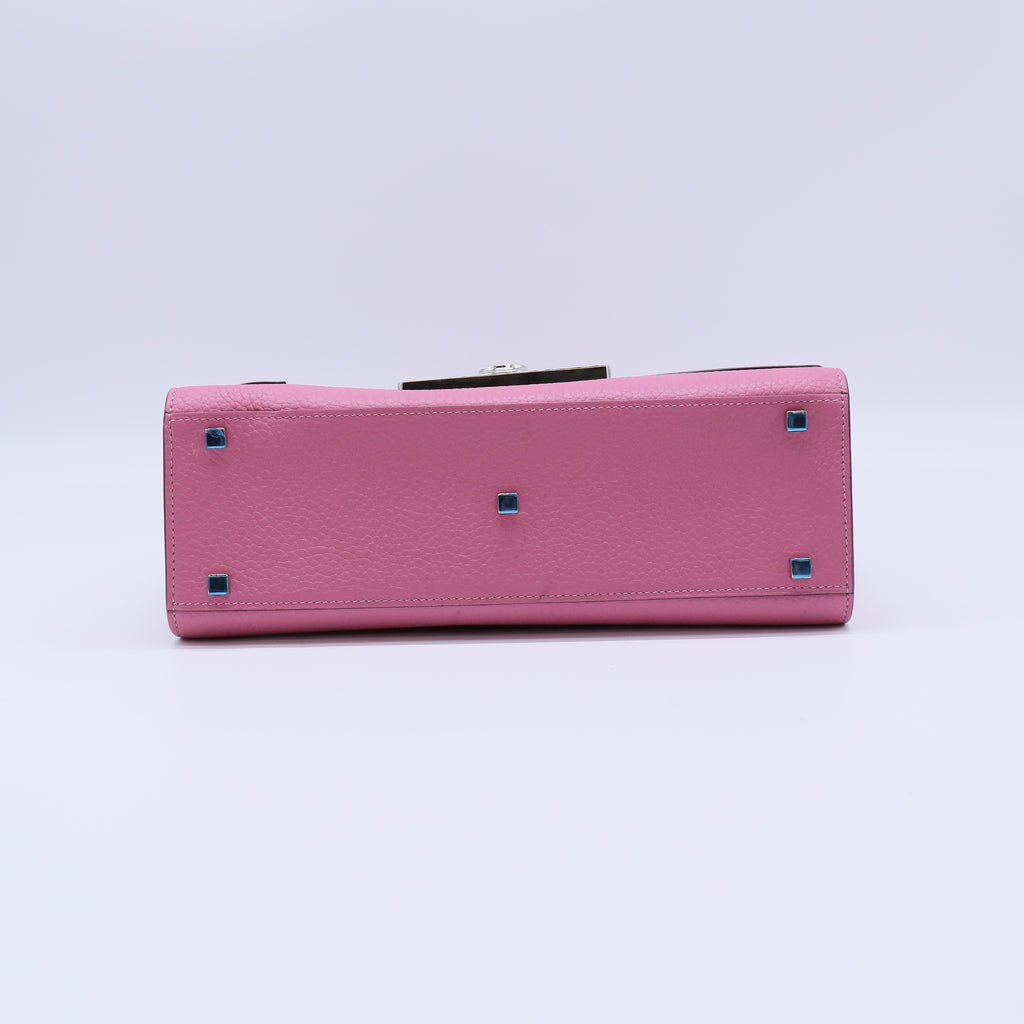 Moynat Leather Rejane twins B22376