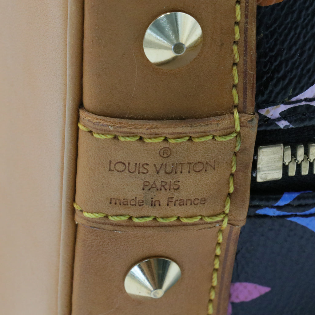 Alma Handbag Monogram Multicolor PM
