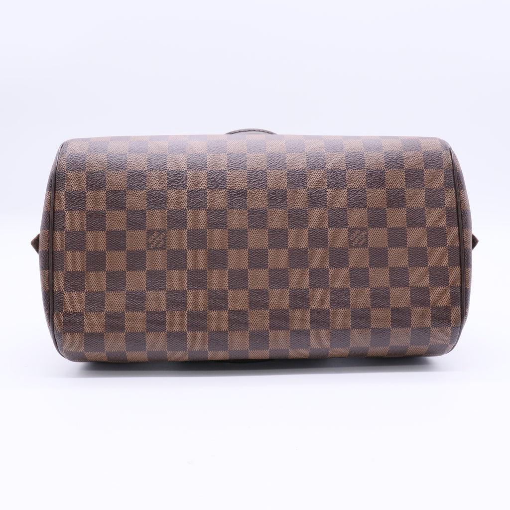 Damier Canvas Ribera MM Bag