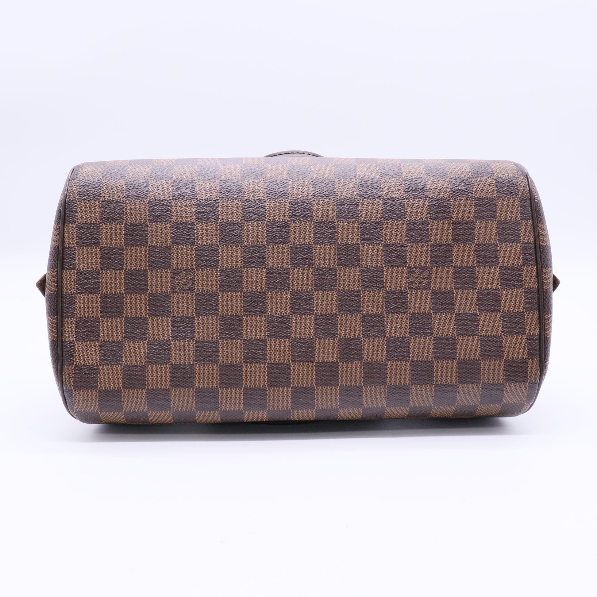 Damier Canvas Ribera MM Bag