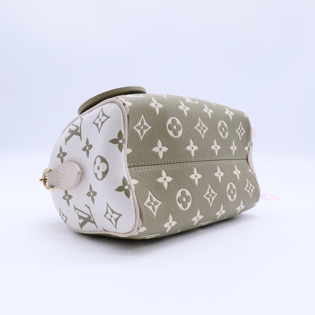 Louis Vuitton Speedy Bandouliere 20 Twins LDJ4258