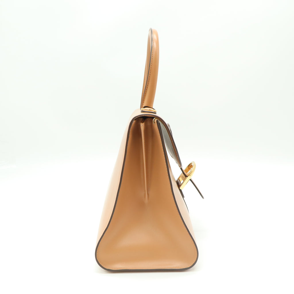 Delvaux Box Calfskin MM Brillant Satchel Vison twins B21575