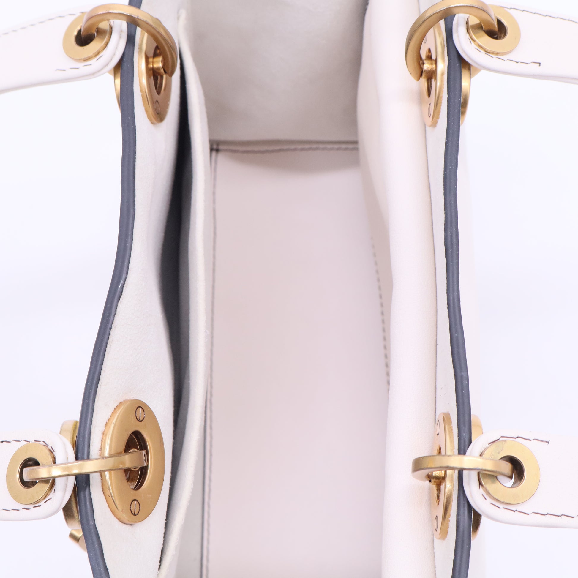 Lady Dior Bag Printed Leather Medium