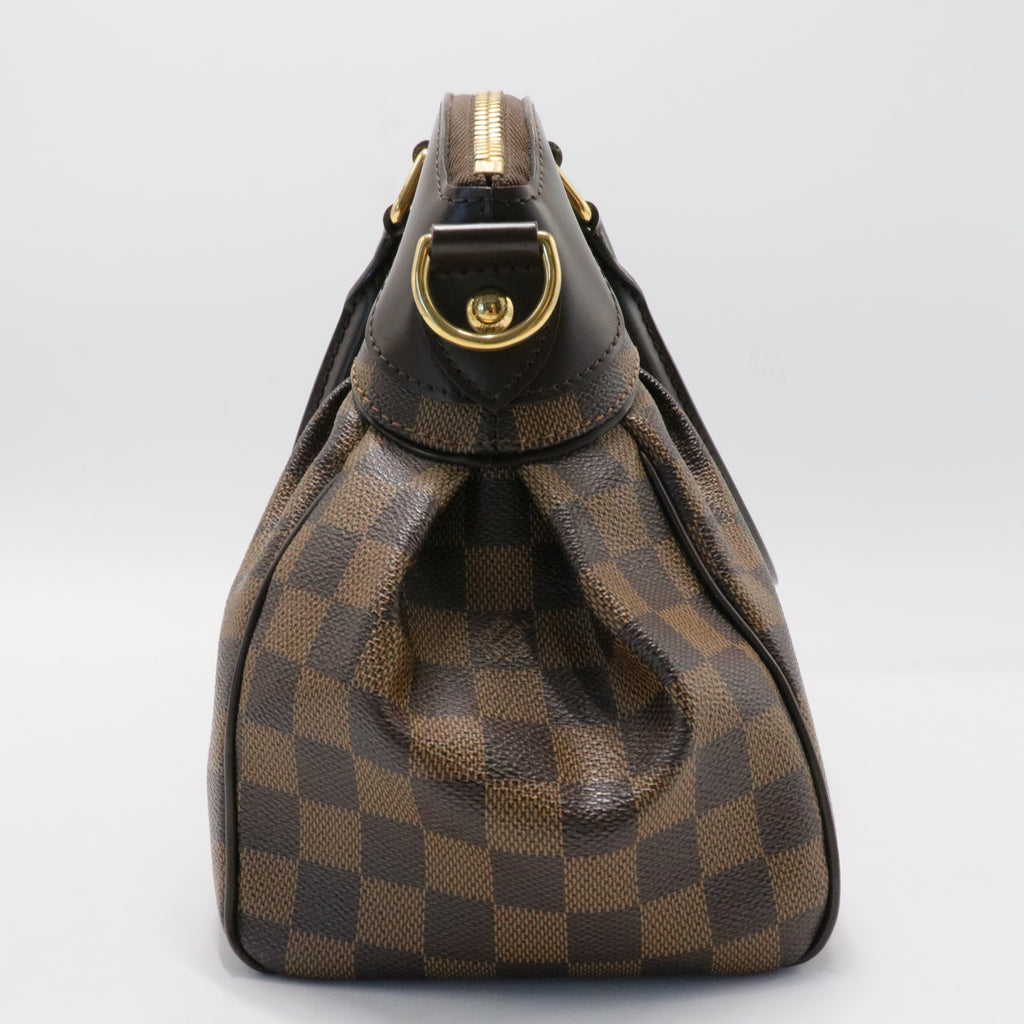 Trevi Handbag Damier PM