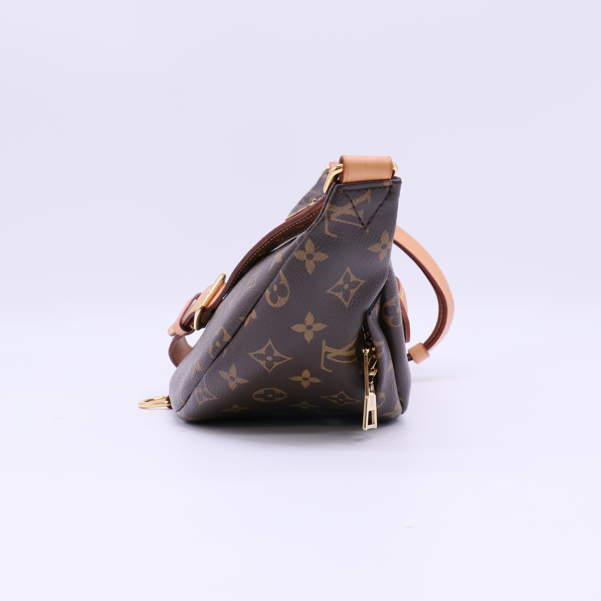 Louis Vuitton Monogram Bumbag B22447