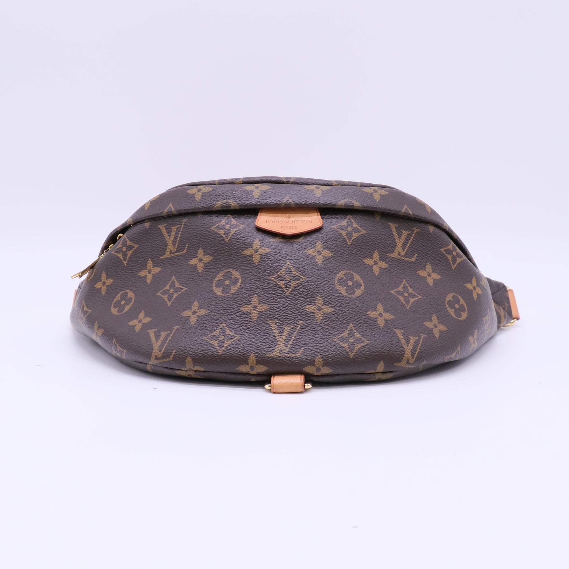 Louis Vuitton Monogram Bumbag B22447