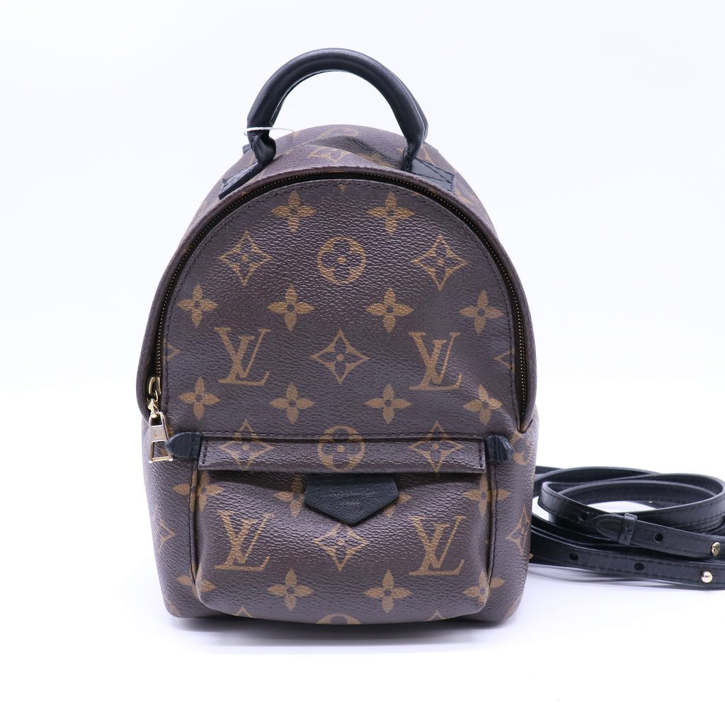 Palm Springs Backpack Monogram Canvas Mini Twins LDJ4310
