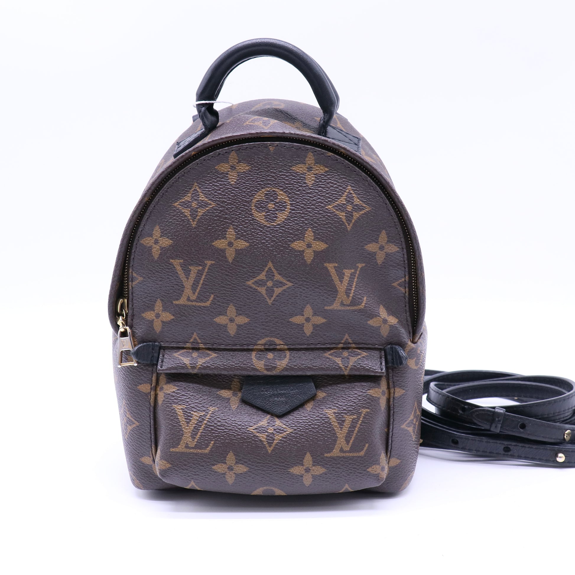Palm Springs Backpack Monogram Canvas Mini Twins LDJ4310